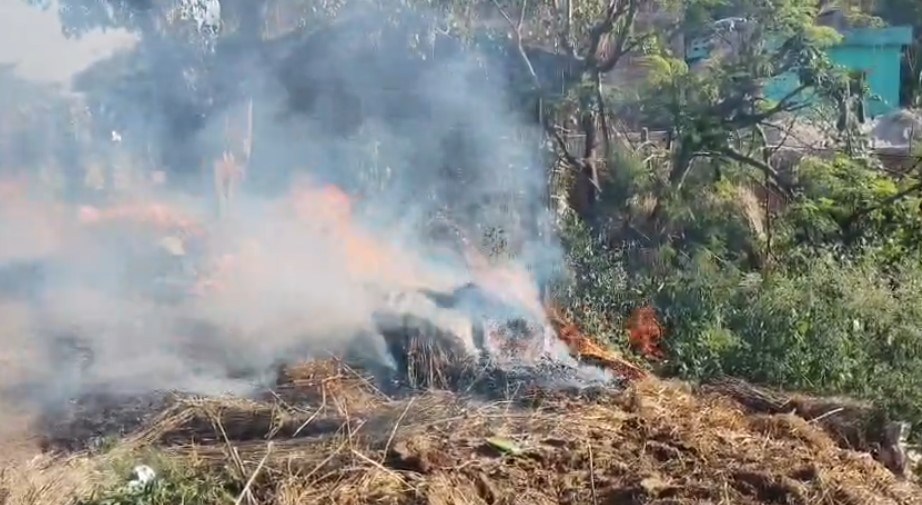 Breaking news from Singhia (as seen on P News Live):